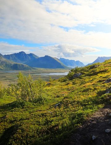 20250826_154530-2 20250826_154530-2